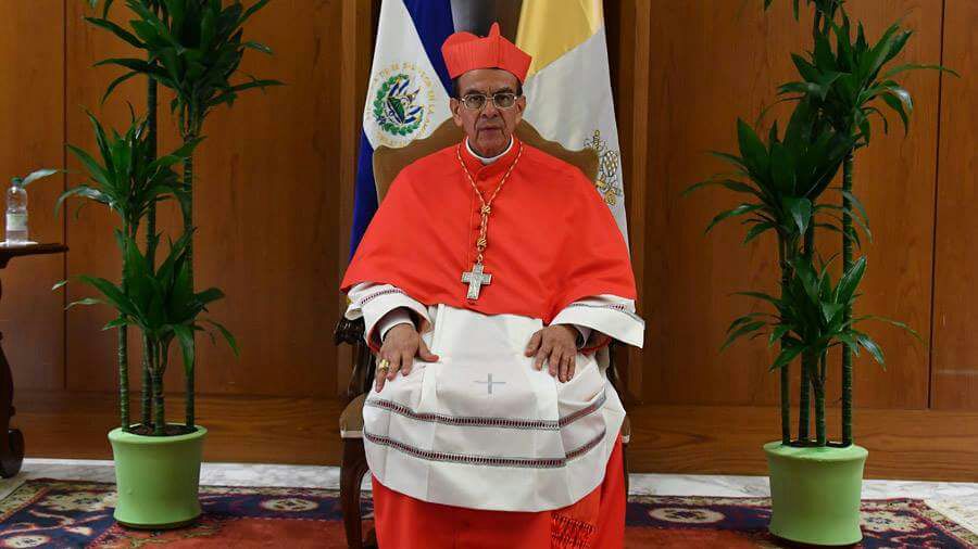 Cardenal Rosa