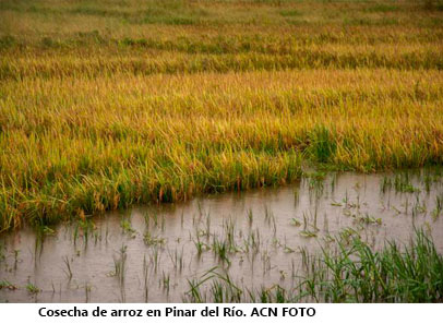 afectación cuba1