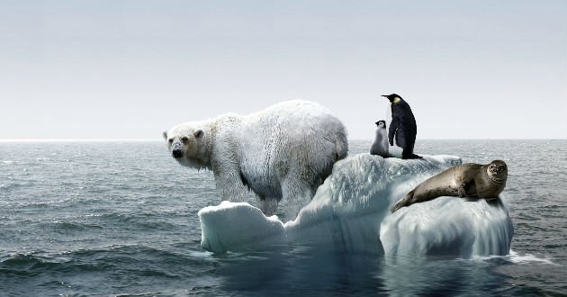 cambio climático