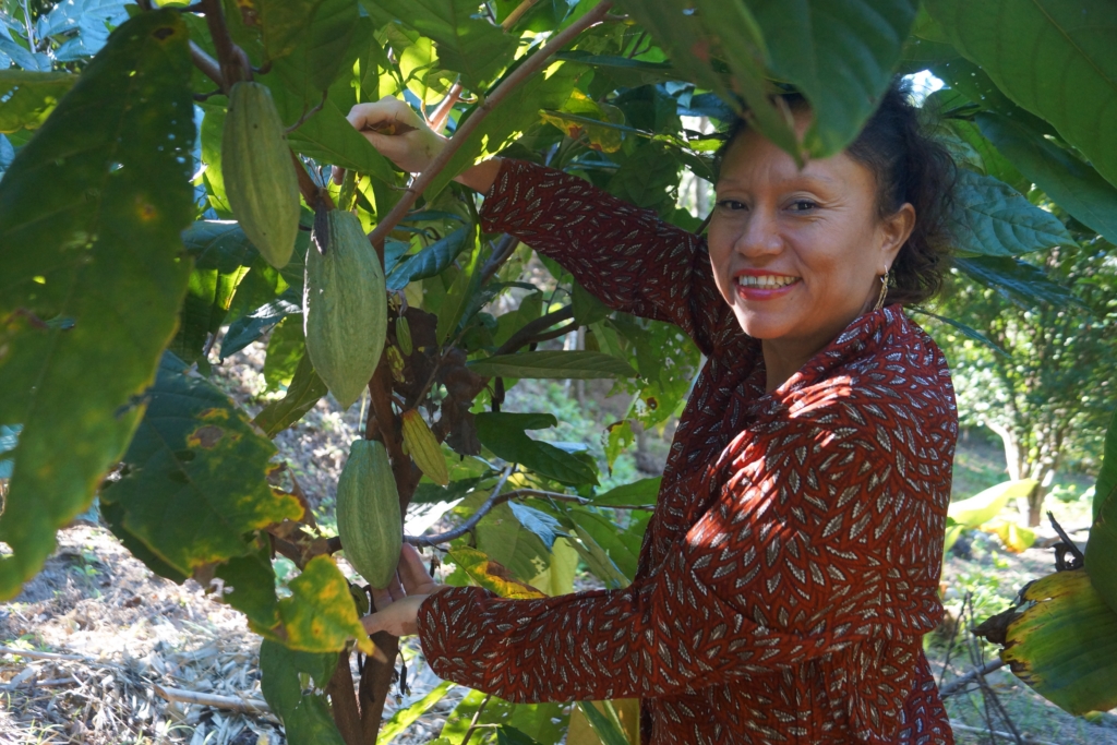 cacao san pedro nonualco 3
