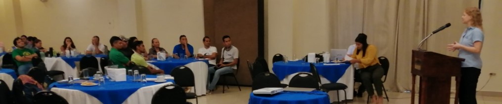 aimentación san miguel 25 1024x768