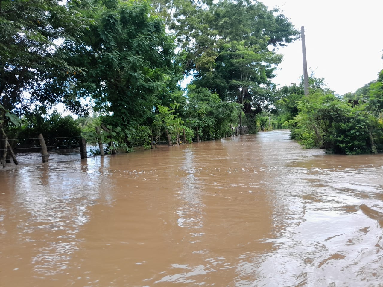 comunidades icaco botoncillo narvaez 8