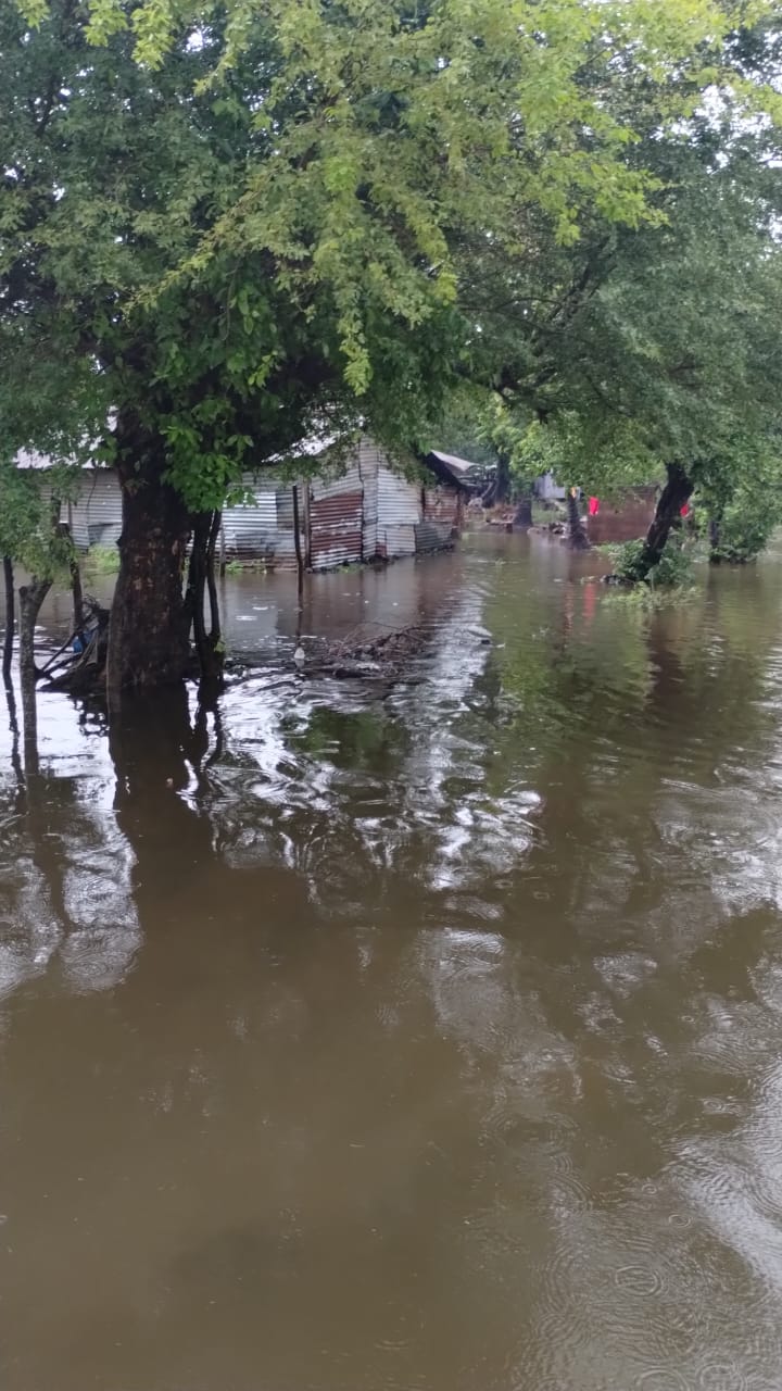 puerto parada 160624 4
