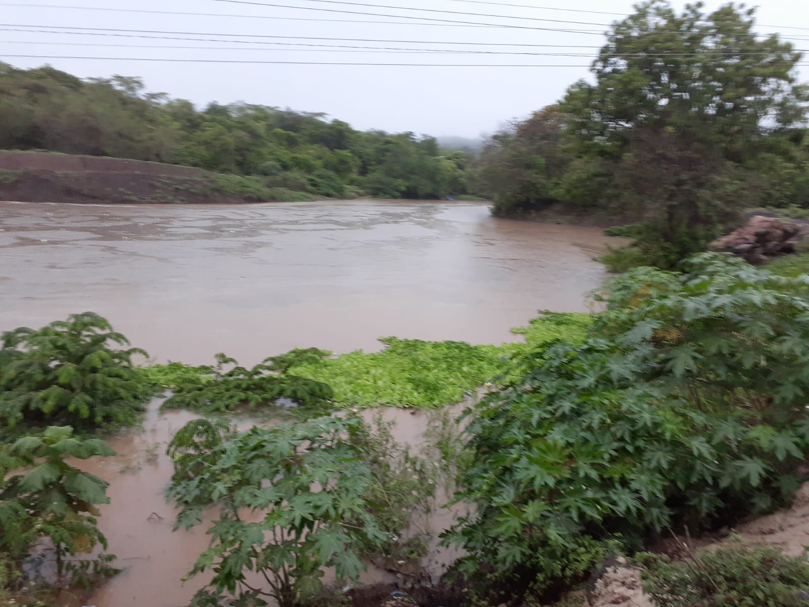 rio grande San Miguel 2